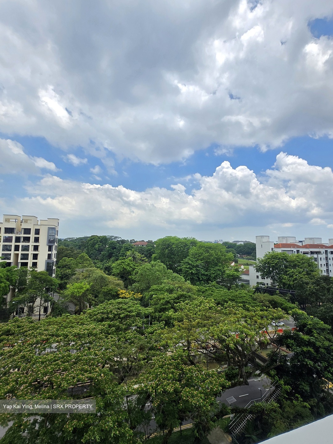 Mayfair Modern (D21), Condominium #609409361